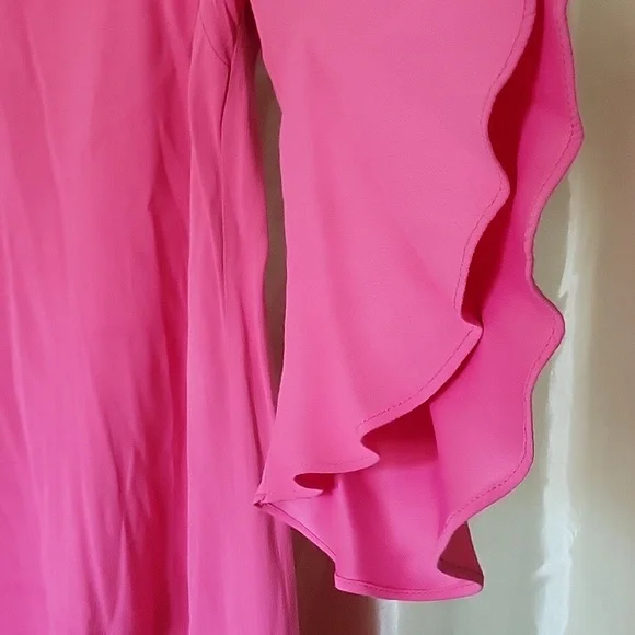 Anthropologie HD In Paris Pink Dress 10 - Picture 4 of 13